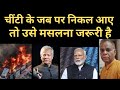 चींटी के निकल आए हैं पर