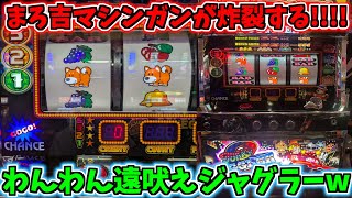 ワンワン遠吠えするジャグラーに思わぬ事態が!