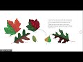 Nature Storytime #29 - Why Do Leaves Change Colors by Betsy Maestro