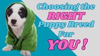 Uncover the best puppy breed for your lifestyle #dogs #doglover by PuppyNation 12 views 5 months ago 7 minutes