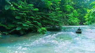 Live River Sounds 24/7 🌊 | Relaxing Nature Ambience for Sleep, Study, Meditation & Stress Relief