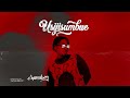 Chama Boy Usijisumbue Official Audio 