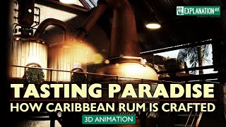 TASTING PARADISE  How Caribbean Rum Is Made