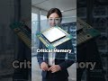 AI Is Quietly Rewriting the Chip Market
