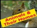 Animal Homes and Habitats