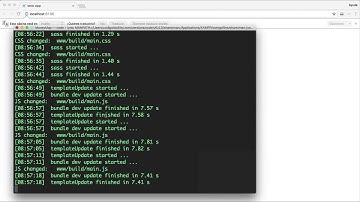 Desarrollo de apps para iOs y Android con Ionic - Servicios y LocalStorage - 59 Formulario para crea