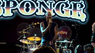 Sponge - Plowed - Live in Boston - 2025