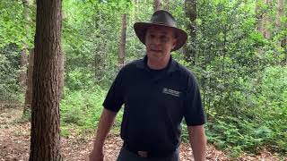 Minibeast Dial - Notts Outdoors: Virtual Outdoor Learning Teaching Support for Schools (VOLTS)