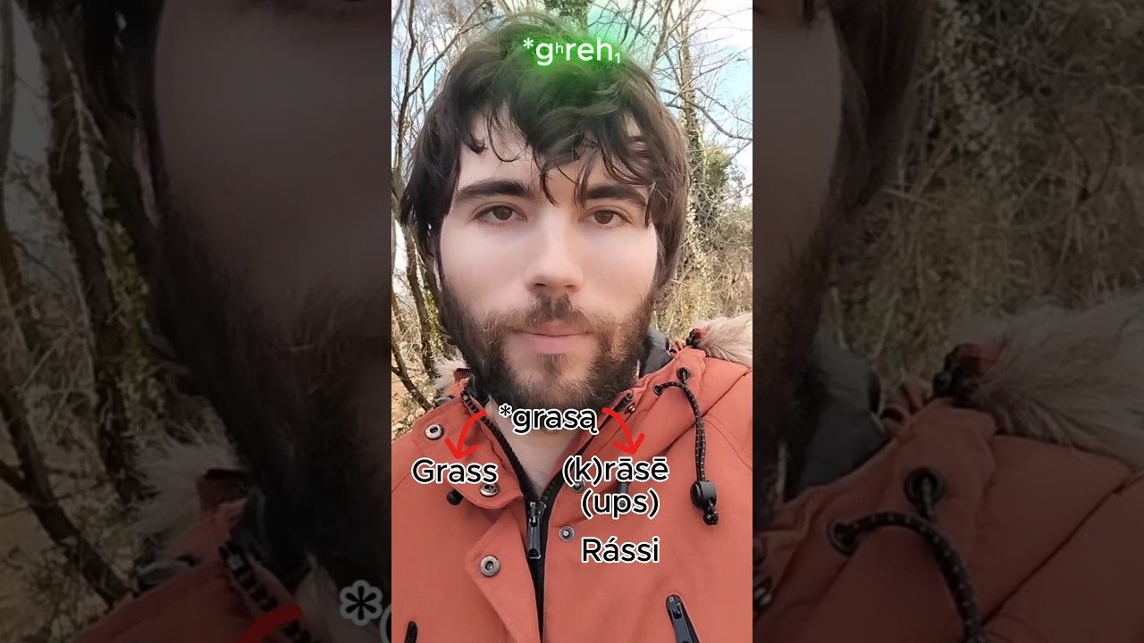 La relación etimológica entre grey y rássi (y green, grow y grass) 