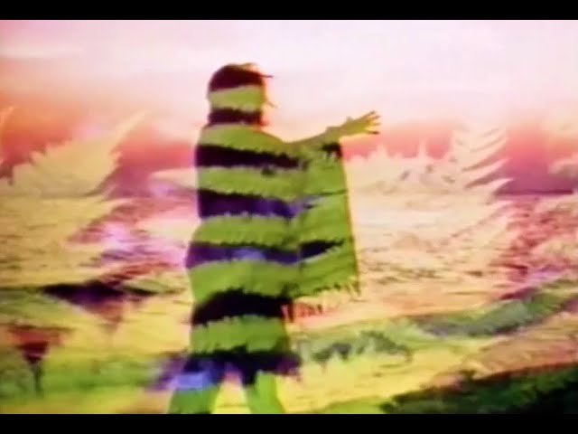 Tintern Abbey - Beeside