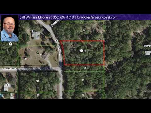 10589 N Rousseau Drive, Dunnellon, FL home video tour