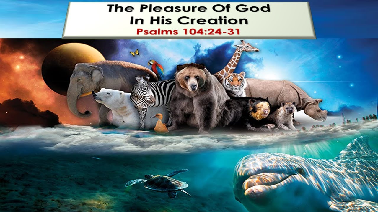 The Pleasure of God in His Creation