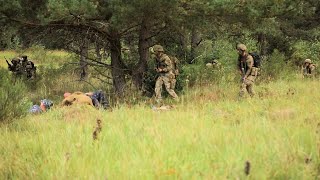 U.S., Allied Soldiers Conduct BL23