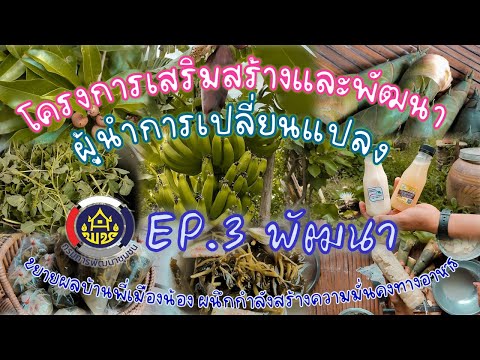 ผลสลากกินแบ่งรัฐบาล วันที่ 1 พย. 2567 ผลสลากกินแบ่งรัฐบาล วันที่ 1 พย. 2567