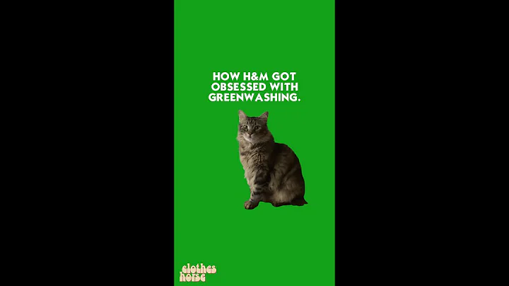 How H&M Became Obsessed With Greenwashing