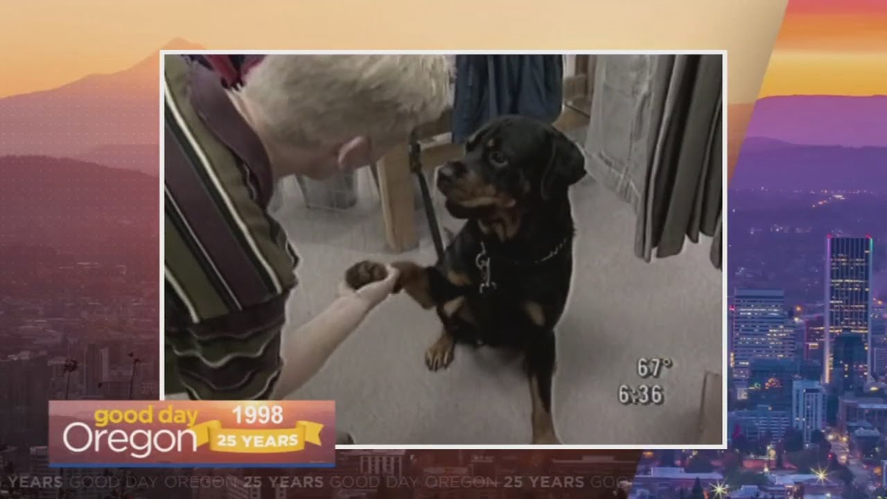 GDO memories: Good dogs love Andy Carson on Good Day Oregon