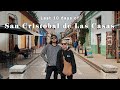 ありがとうメキシコ サンクリ。帰国までのバタバタな10日間|VLOG
