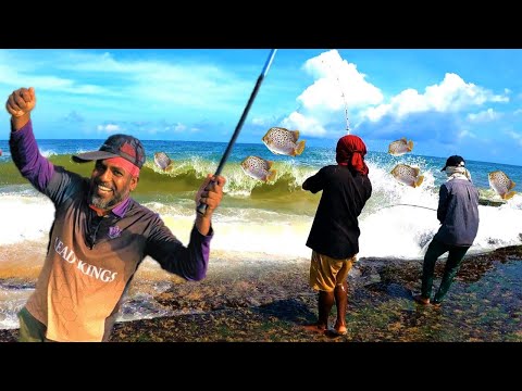 ගල්පරේ ඉලත්ති බාමු | Fishing Adventure | @wishwatiyubaya 🐠🙄👣
