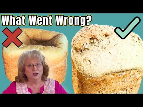 Why Did My Bread Collapse