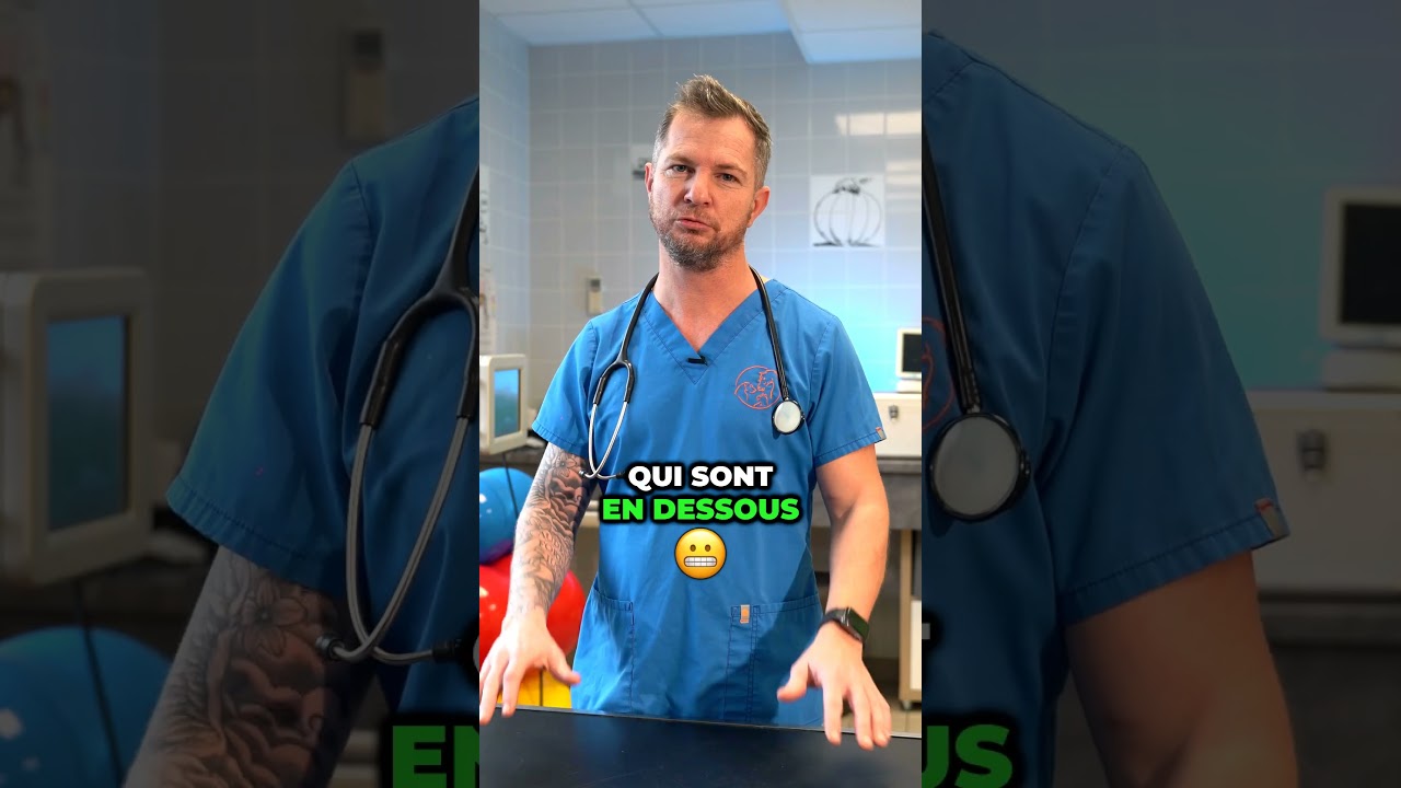 😱 J'ai peur de détartrer mon chien!