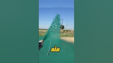 Công Nghệ Gieo Hạt Thủy Lực Biến Đất Trống Thành Thảm Cỏ Chỉ Sau Vài Tuần #shorts