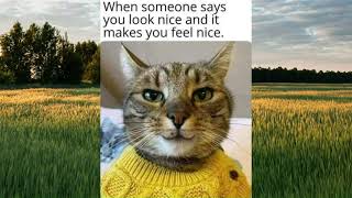 Click for Cute and Sweet Memes, r/MadeMeSmile
