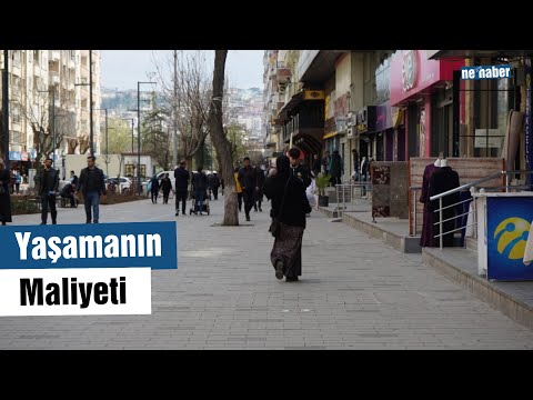 Yaşamanın Maliyeti