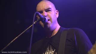 Rock 4 Rookies Live 3 United States Of Whatever Liam Lynch Cover By Tal Behar