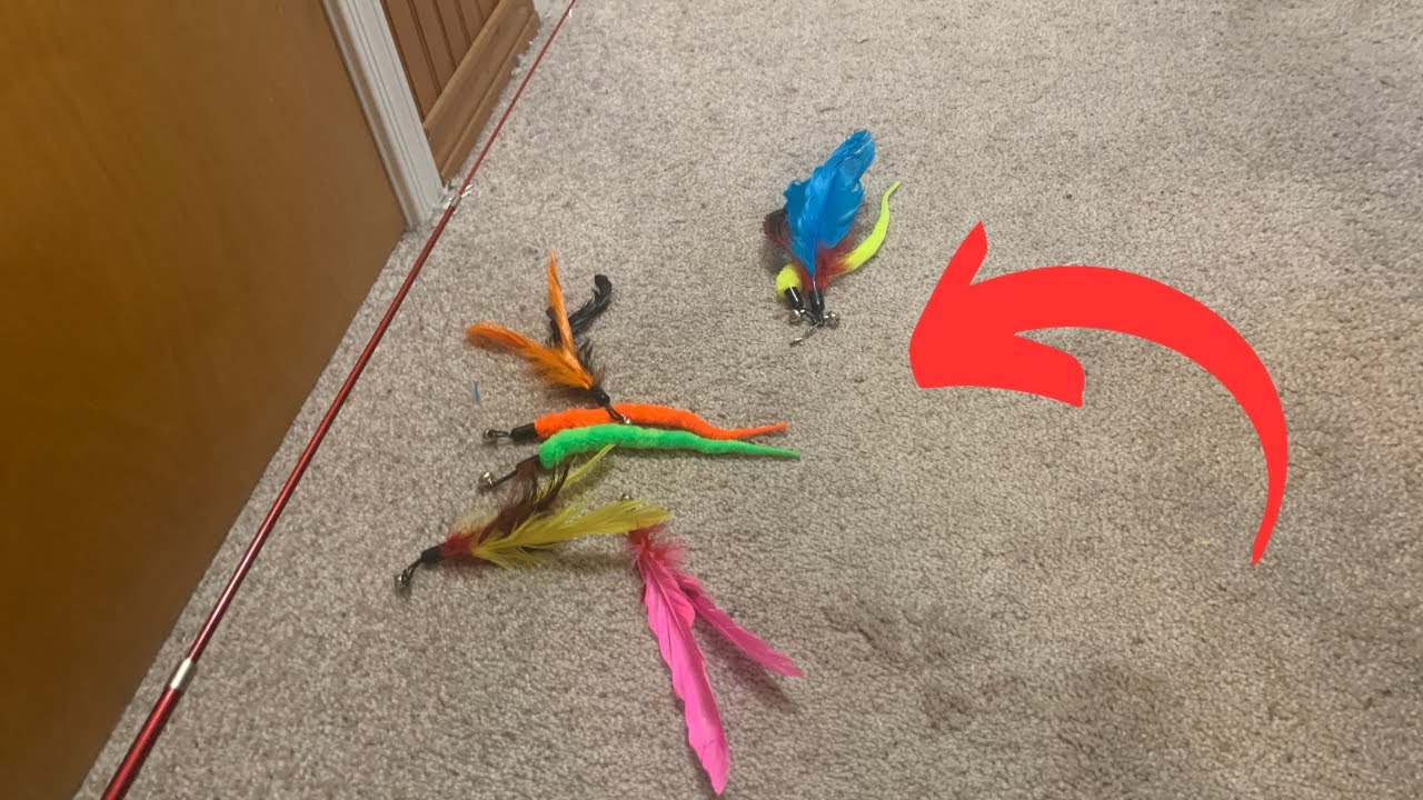 Why the MeoHui Cat Toy Wands Are Our Cats Favorite Toys