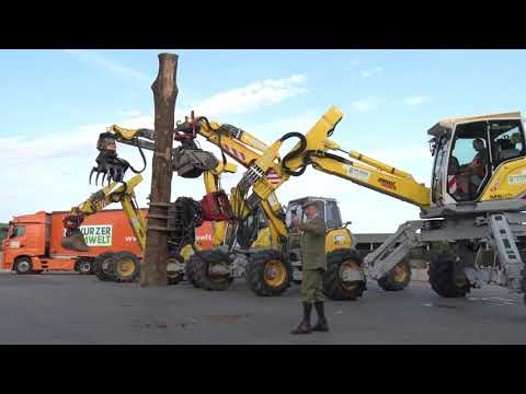 wurzer-umwelt---auszubildende-gesucht