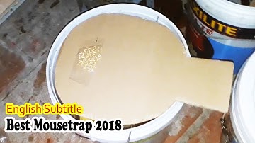 Bẫy chuột hay nhất 2018/ Bẫy chuột thùng sơn hiệu quả nhất/ Tự làm bẫy chuột hiệu quả nhất