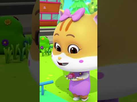 Incy WIncy Song LOCO NUTS turkey