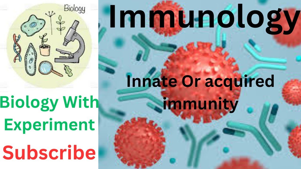 Immunology immunity types of immunity innate and acquired