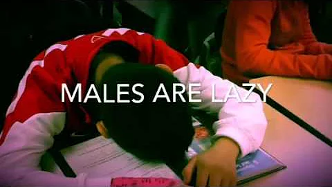 Steven Gard period 2 stereotypes