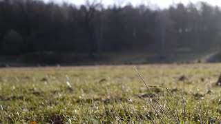 First airborne test with RCTimer ASP gimbal and STorM32 BGC