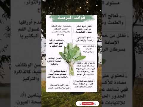 فوائد المريمية 
