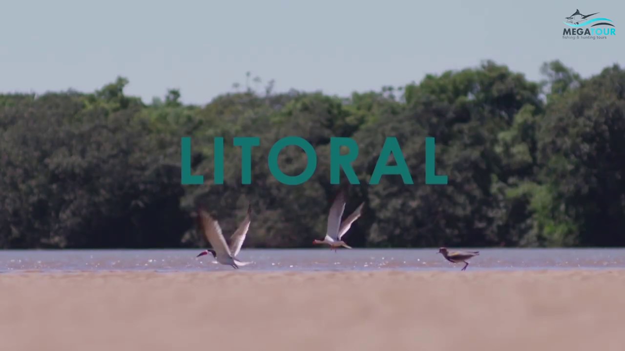 Регион Litoral | МЕГАТУР