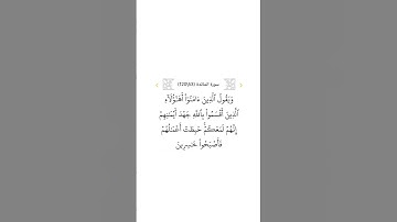 سورة المائدة ٥٣