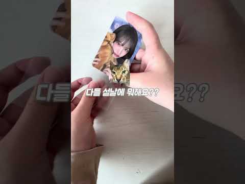 다들 설날에 뭐하세요?(울집냥이가 많이들어간 영상) #추천추천추천추천추천추천추천추천추천추천 #구독부탁합니다 #관리자님잘생겼어요 #눌러주세용 #고양이크림 #포장계
