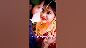 rasa rasa unna vachirukken..💞💞#love #lyrics#melody#evergreen#everyone #evergreenhits#shorts#watsapp
