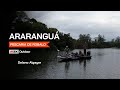 Rio Araranguá - Pescaria de Robalo