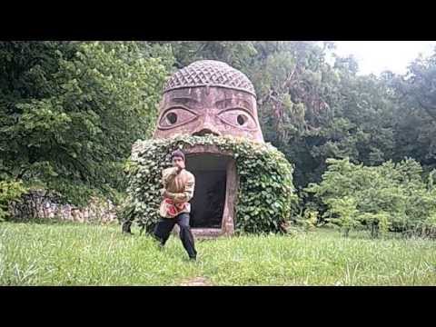 hung-quan-tao-/-le-poing-dur-/-the-stone-fist-kung-fu