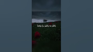 ماتيسر من سورة الرعد
