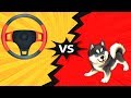 Steering Wheel vs Husky