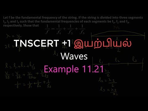 21.Physics | Waves | Example 11.21
