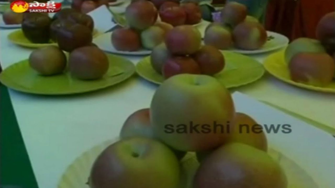 Apples Festival in Shimla YouTube