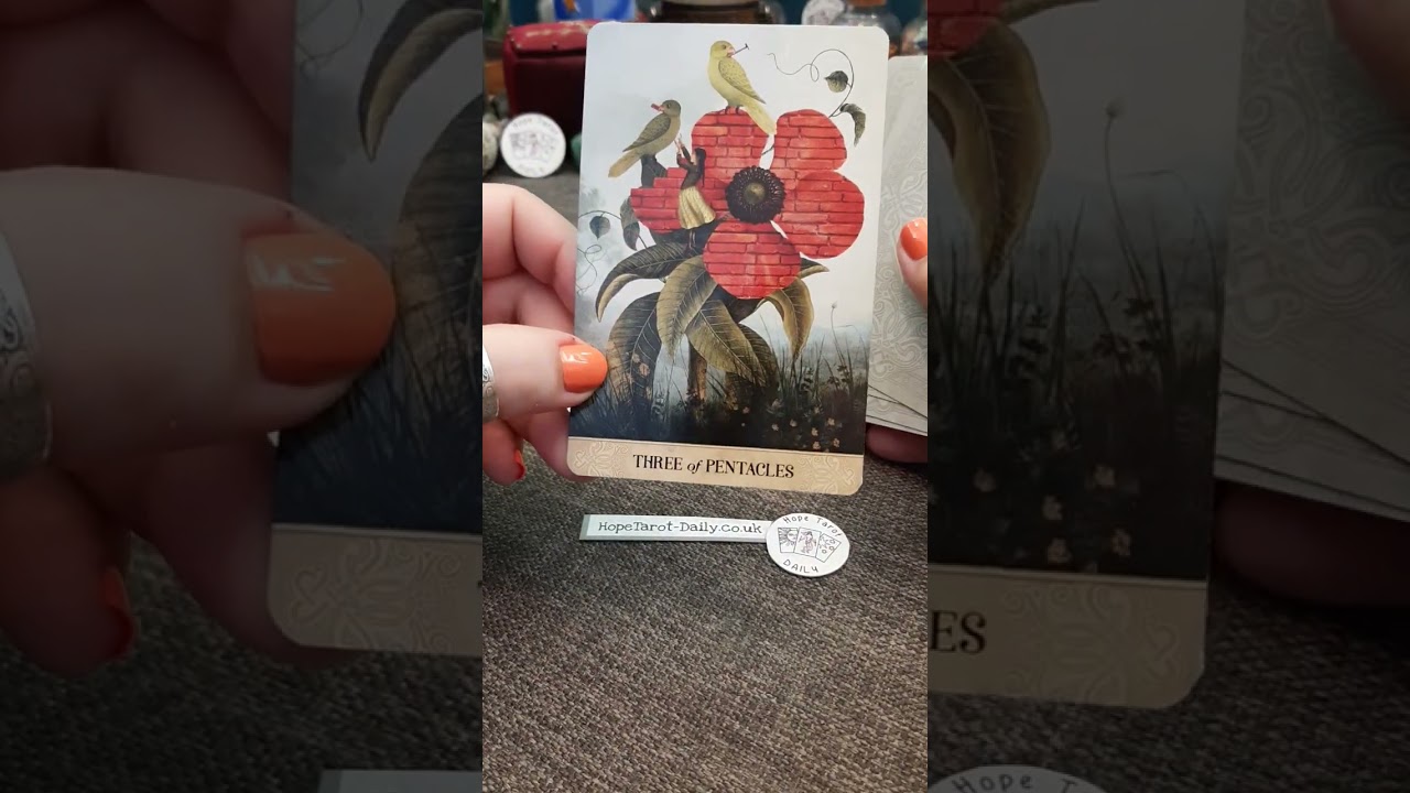 Will we get back together? | Timeless Tarot Card Reading | Hope Tarot Daily