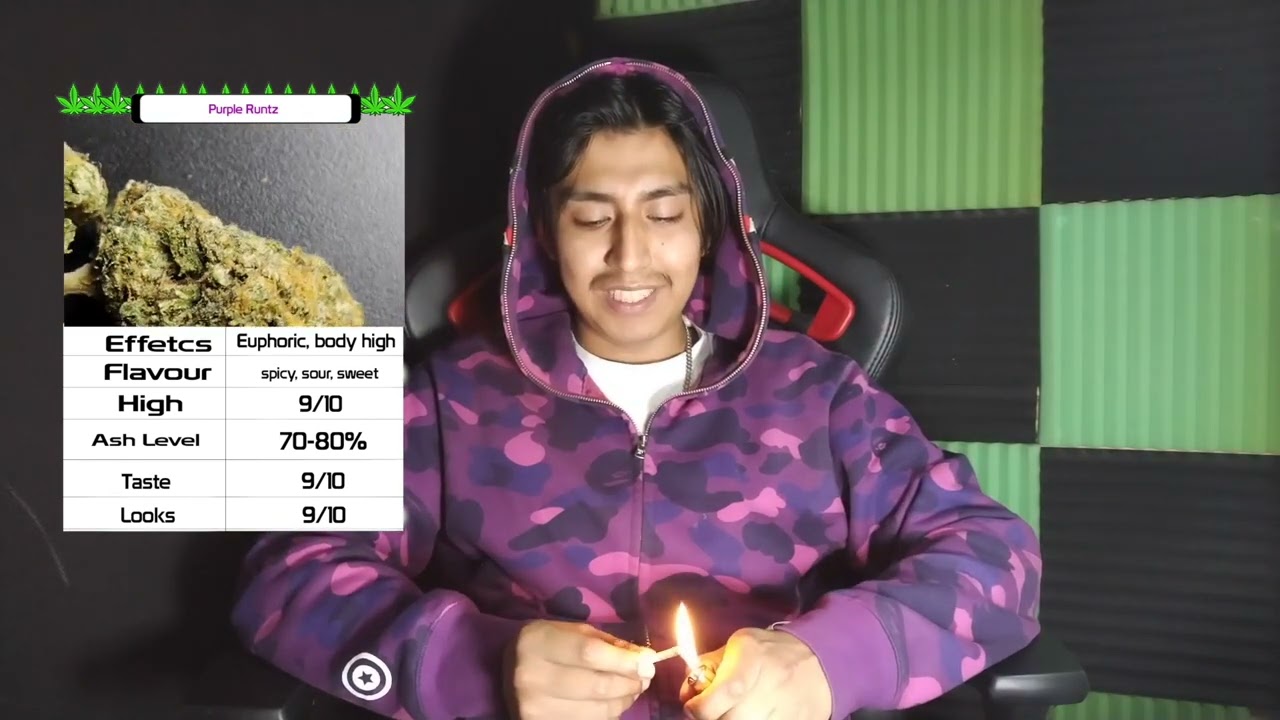 Purple Runtz (UK) Review !! 25% THC Tested !! #22