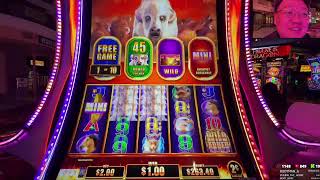 💸How Big Can These Multipliers Get? 🎰 Las Vegas Slots Live Stream Replay screenshot 5