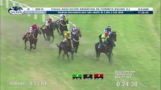 Vidéo de la course PMU CLASICO ASOCIACION ARGENTINA DE FOMENTO EQUINO